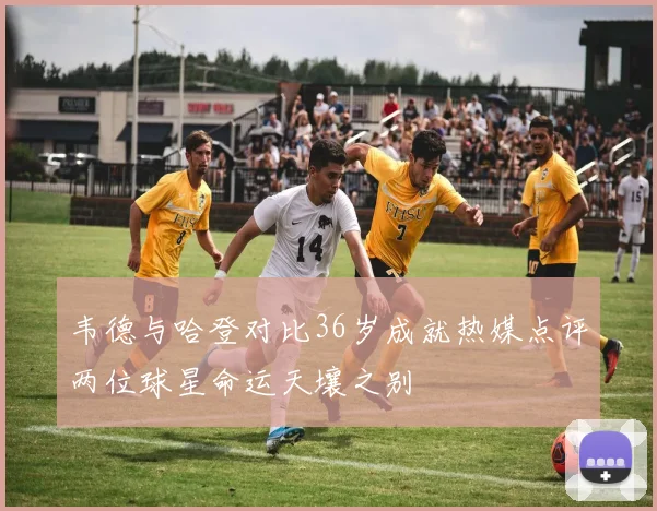 韦德与哈登对比36岁成就热媒点评两位球星命运天壤之别